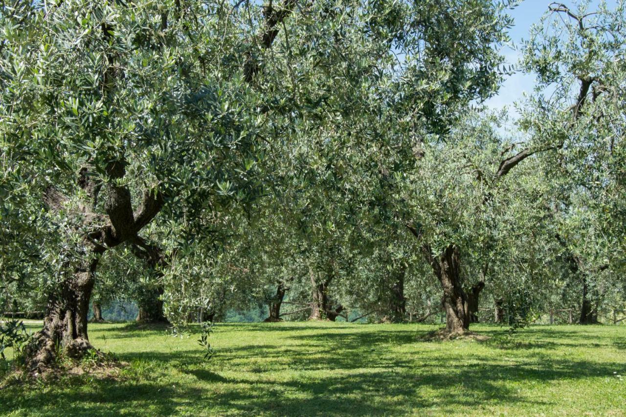 פאלאיה Agriturismo Podere La Casa מראה חיצוני תמונה