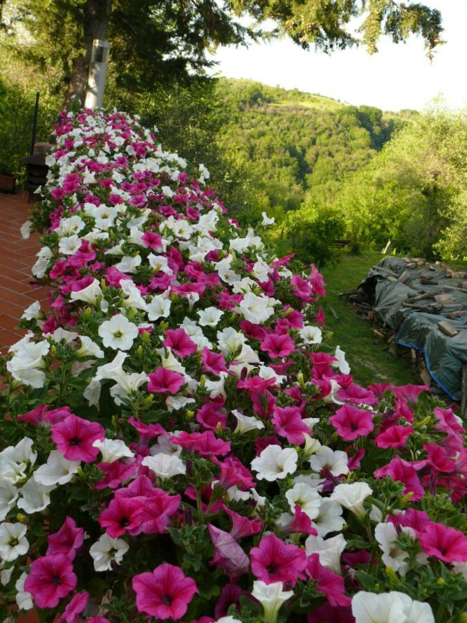 פאלאיה Agriturismo Podere La Casa מראה חיצוני תמונה